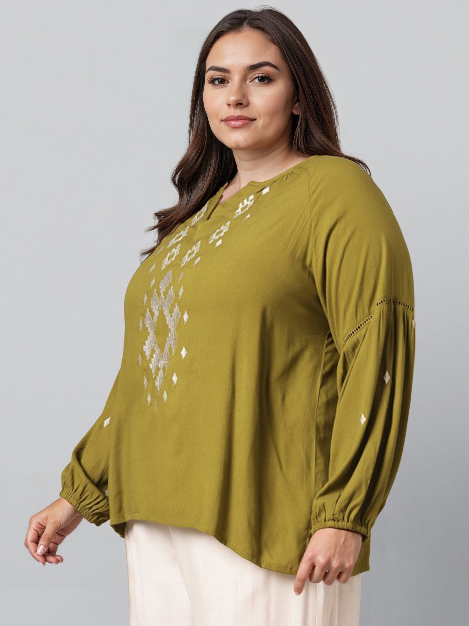 Plus Size Embroidered Puff Sleeves Mandairan Collar Top